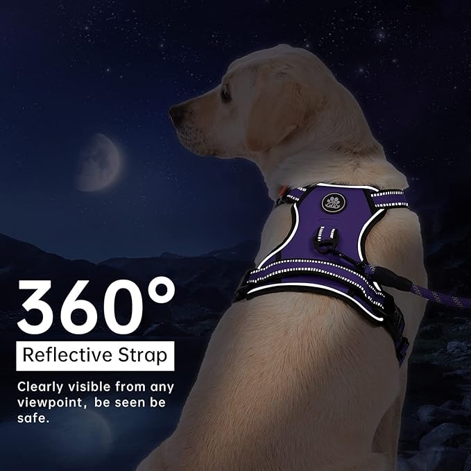 IVY&LANE No Pull Dog Harness for Large Dogs, Dog Vest Harness with Leash, Safety Belt and Storage Strap, Fully Adjustable Harness, 360° Reflective Strip, Soft Handle (Purple, L)