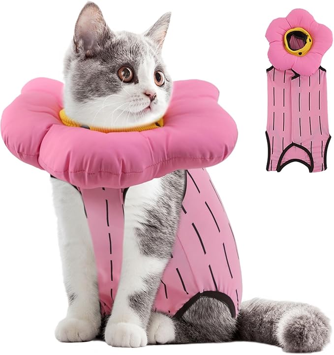 EMUST 2PCS Cat Recovery Suit and Cone Collar - Female, Breathable Cotton, Adjustable Soft E Collar Alternative for Cats 8-16lb (Pink, L)