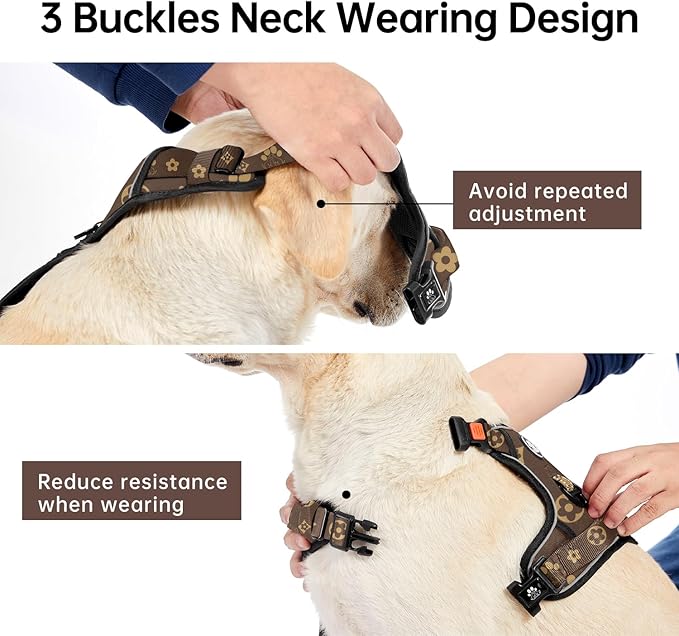 IVY&LANE No Pull Dog Harness with Leash Set, Reflective No Choke Pet Vest,Adjustable Oxford Dog Vest Harness with Easy Control Handle for Medium Dogs (Dark Brown,M)