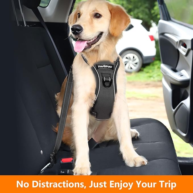 Dog Seat Belt Harness for Car, Dog Car Harness Adjustable Mesh Breathable & Dogs Seatbelt Safety Tether with Elastic Bungee for Small Medium Large Pets(Carbon Black, M)