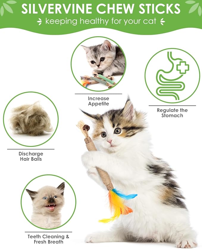 TINDTOP Catnip Chew Toys for Cats, 4 Pack Natural Silvervine Sticks for Kittens Teeth Cleaning, Matatabi Dental Care, Increase Appetite, Aggressive Chewers Cat Dental Toy