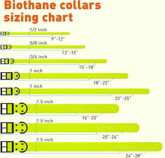 Dogline Biothane Waterproof Dog Collar Strong Coated Nylon Webbing with Black Hardware Odor- Proof for Easy Care Easy to Clean High Performance Fits Small Medium or Large Dogs, Safety Yellow