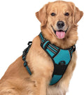 rabbitgoo Dog Harness No Pull with 2 Leash Clips, Adjustable Soft Padded, Reflective Oxford No Choke Pet Vest with Easy Control Handle for Large Dogs, Teal, XL