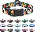 Mercano Adjustable Dog Collar - Special Design Patterns, Soft Nylon Comfortable Durable Pet Collar for Small Medium Large Dogs (S, Floral Orange)