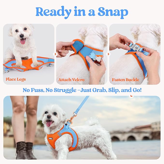 rabbitgoo Dog Harness Small Sized and Leash Set, Step in Soft Light Puppy Vest, Breathable Mesh Pet Harness, Reflective for Safe Easy Walking, Blue & Orange XXS