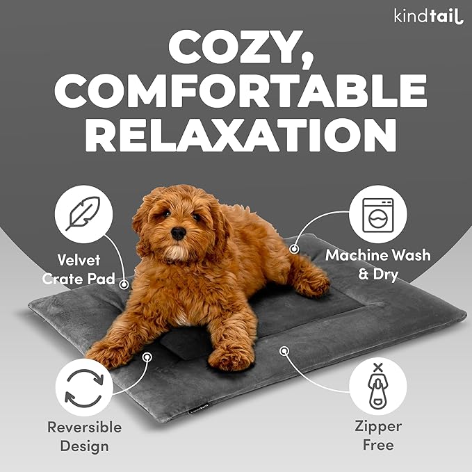 KindTail Dog Crate Pad - Soft Velvet, Reversible Bed - Machine Washable Kennel Mat for Pets up to 25 lbs - Mattress for Cozy Sleeping - 25” x 19” x 1” (Light Grey, Medium)