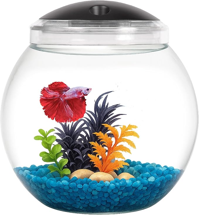 Koller Products 1-Gallon Globe Fish Bowl, Impact- Resistant Plastic Aquarium Starter Kit with LED Lighting, Built-in Timer, Crystal-Clear Clarity, Desktop Fish Tank for Home Décor