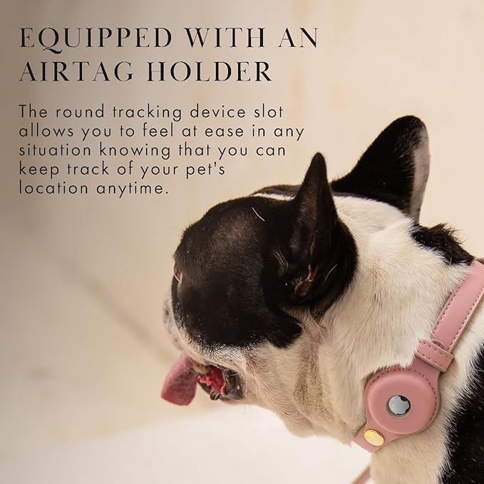 Cupertino Dog Collars, Harnesses & Leashes Made from Vegan Leather with Dog Tracker Device Holder Adjustable Dog Collar (Medium, Pink)