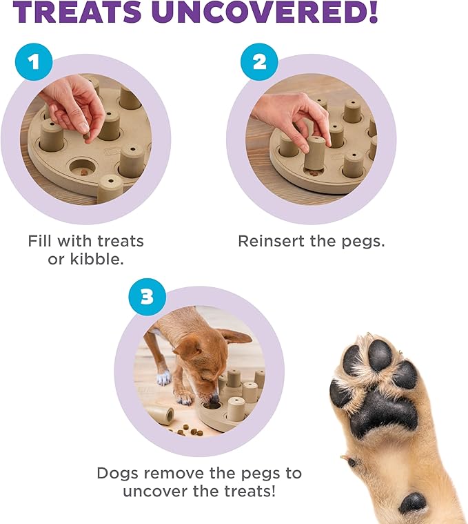 Outward Hound by Nina Ottosson Dog Smart Treat Puzzle Enrichment Toy, Level 1 Beginner, Tan, Composite