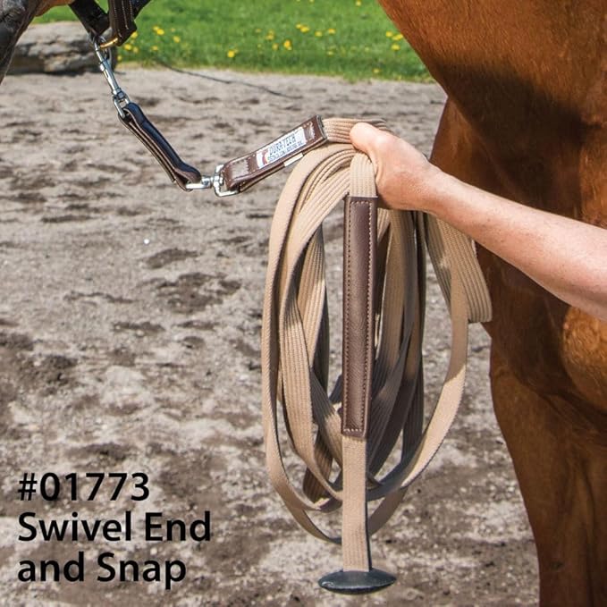 Schneiders Dura-Tech German Web Cord Lunge Line for Horses | Soft Grip Ribbed Webbing | Lightweight & Durable | Nickel-Plated Snap or Chain Options | Lunge Line with 30" Chain