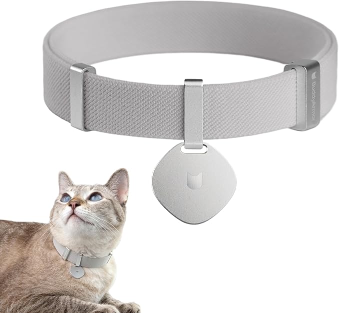 Safety Cat Collar Pro and Tag Set - U.S. IDA Gold Award, Elastic Release Cat Collar Charm Tag, Non Breakaway Cat Collar Adjustable with Charm for Kitten Small Large Cats (Glacier Silver, M)