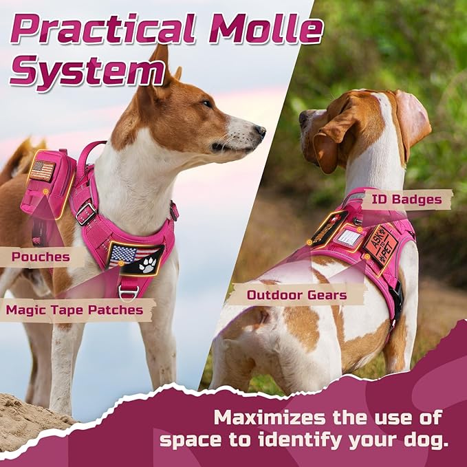 rabbitgoo Tactical Dog Harness Medium Sized Dog, No Pull Military Service Vest with Handle & Molle, Easy Control for Training Walking, Adjustable Reflective Straps, Rose Red, M
