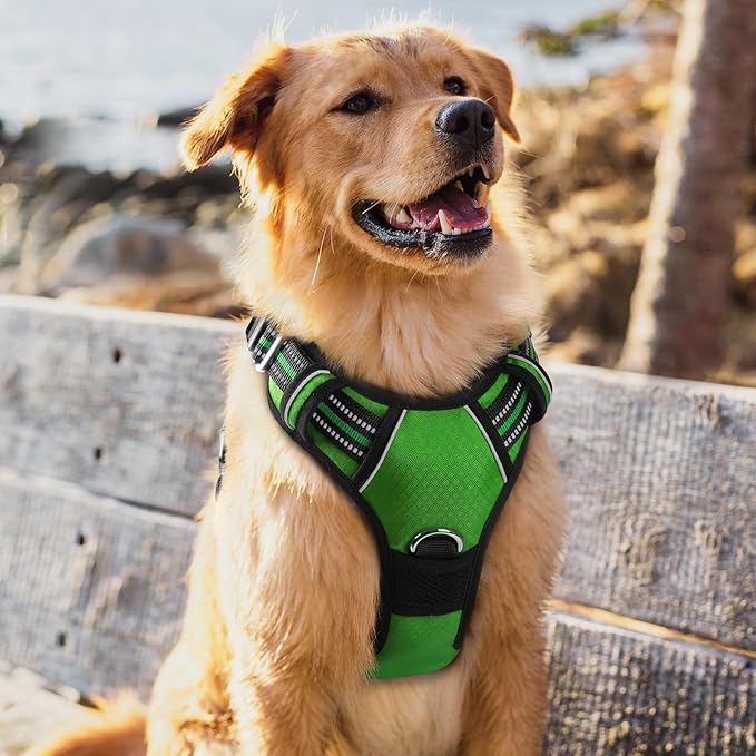 rabbitgoo Dog Harness for Large Dogs, No Pull Pet Vest with 3 Buckles, Adjustable Soft Padded Pet Harness with Easy Control Handle and Reflective Strips, Green, XL