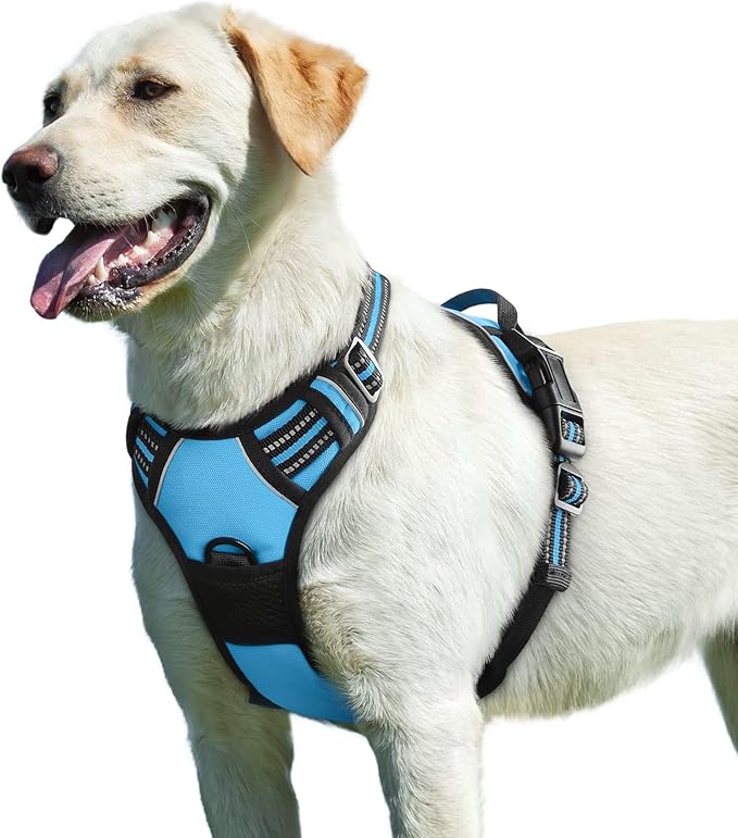 Eagloo Dog Harness for Large Dogs, No Pull Service Vest with Reflective Strips and Control Handle, Adjustable and Comfortable for Easy Walking, No Choke Pet Harness with 2 Metal Rings, Sky Blue, L