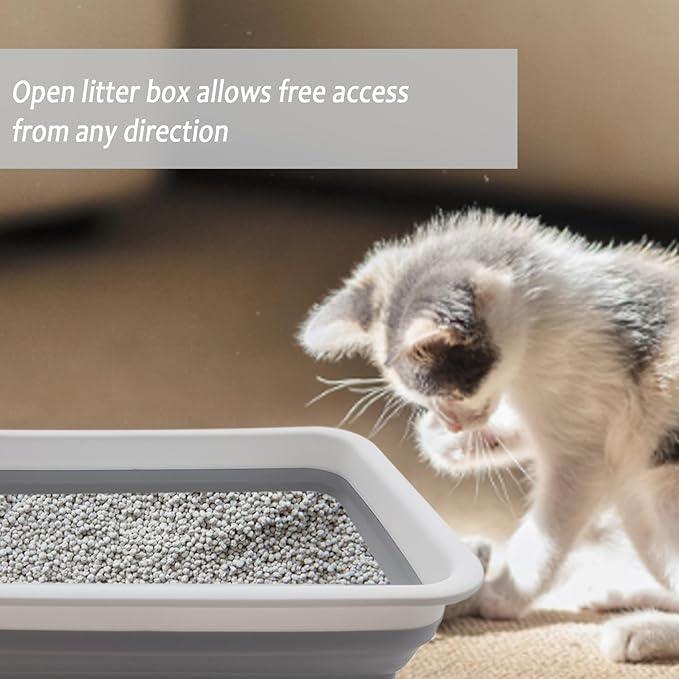 Collapsible Small Cat Litter Box, 14.6 x 10.6 x 4.8 inch Open Waterproof Low Entry Kitten Potty Pan Semi-Enclosed Pet Toilet for Sick Frail Kitty Grey