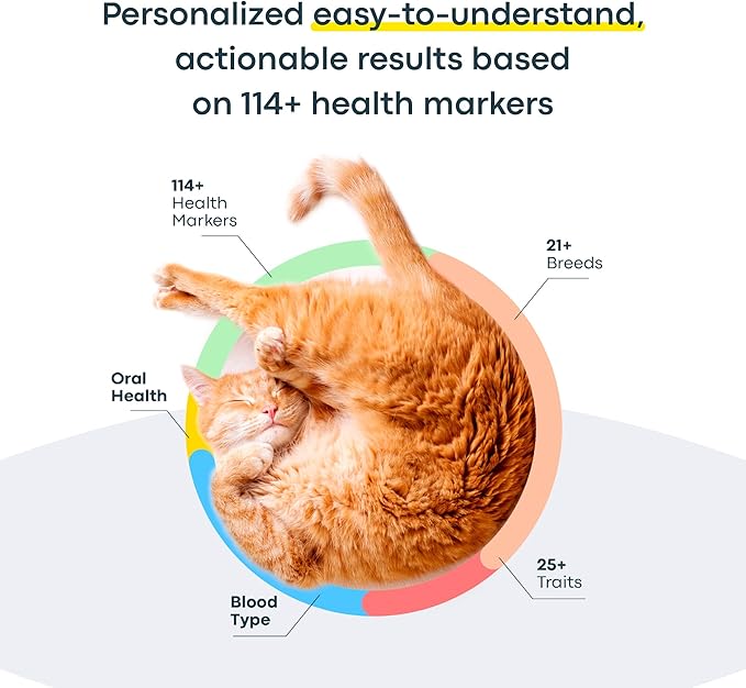 Basepaws Cat DNA Test Kit 2 Pack- Comprehensive Breed, Health and Dental Analysis Across 114 Traits for Accurate and Easy-to-Use Genetic Insights