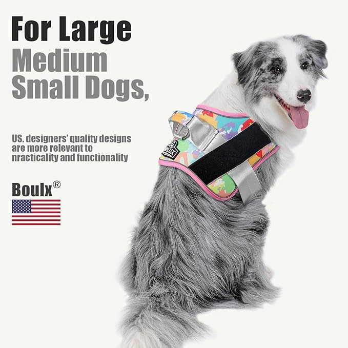 Bolux Dog Harness, No-Pull Reflective Dog Vest, Breathable Adjustable Pet Harness with Handle for Outdoor Walking - No More Pulling, Tugging or Choking (XX-Large (Pack of 1), OilPainting)