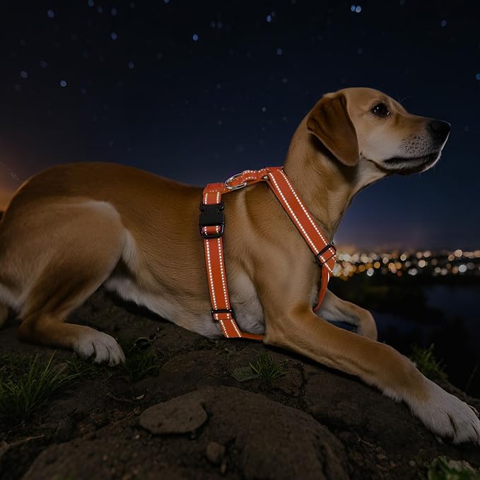 Dog Seat Belt Harness for Car, Dog Car Harness Adjustable Mesh Breathable & Dogs Seatbelt Safety Tether with Elastic Bungee for Small Medium Large Pets(Orange, XL)