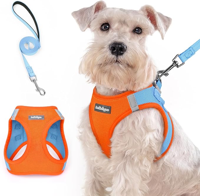 rabbitgoo Dog Harness Medium Sized and Leash Set, Step in Soft Light Puppy Vest, Breathable Mesh Pet Harness, Reflective for Safe Easy Walking, Blue & Orange XXL