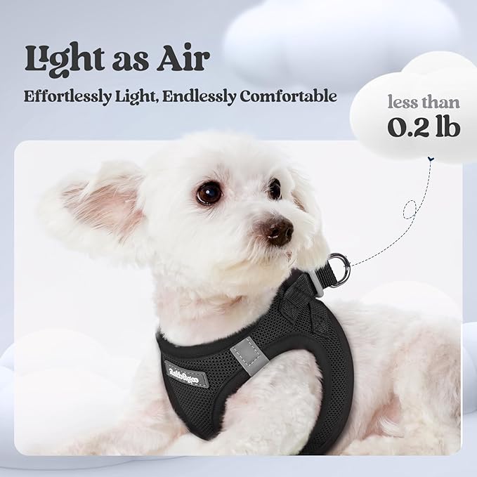 rabbitgoo Dog Harness Small Sized and Leash Set, Step in Soft Light Puppy Vest, Breathable Mesh Pet Harness, Reflective for Safe Easy Walking, Black S