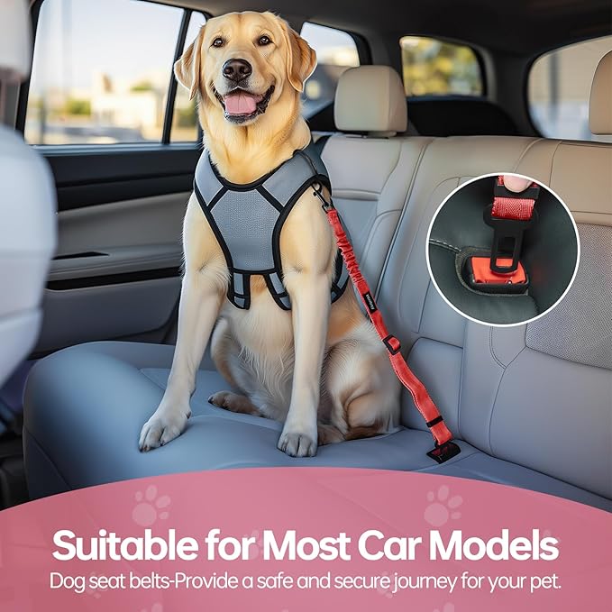 3 Pack Thickened Dog Seat Belt Adjustable Dog Car Seatbelts for Vehicle Nylon Pet Safety Seat Belt with Elastic Bungee Buffer Durable Car Harness for Dogs,Red