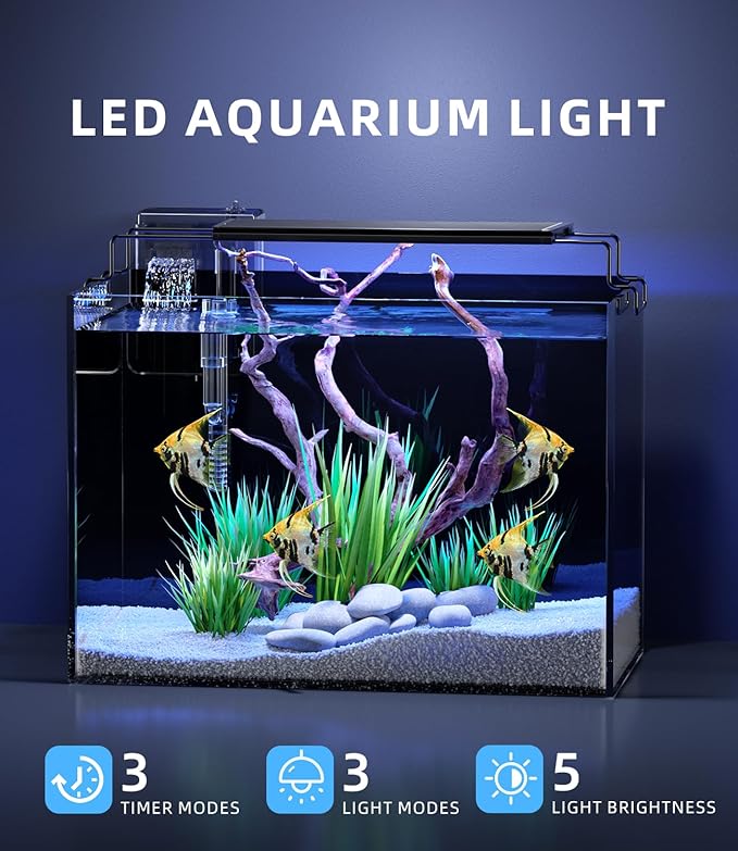 5 Gallon Fish Tank Aquarium Kit with Filter, LED Light with Timer, Siphon Vacuum Cleaner, Lid, Self-Cleaning Glass Rimless Betta Tank