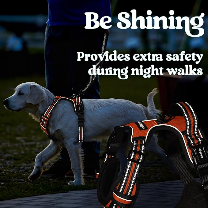 rabbitgoo Dog Harness Small Sized, No Pull Pet Harness with 3 Buckles, Adjustable Soft Padded Vest with Control Handle, Walking Reflective Pet Vest for Small Dogs, Orange, S