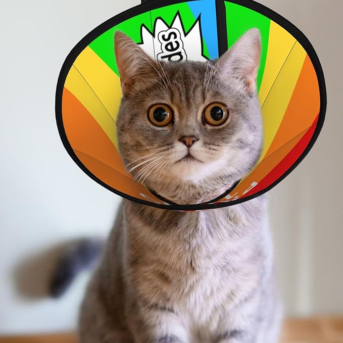 Custom Pet Cone Collar Lick Prevention Pet Recovery Collar for Neuter Safety Elizabethan Collar