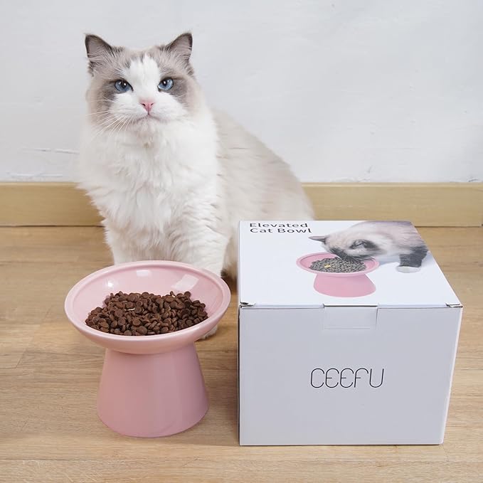 Extra Wide Elevated Ceramic Cat Bowl, 6.2" Shallow Dish for Whisker Fatigue Relief, 5" Height for Easy Feeding, Durable Raised Cat Food Bowls, Pack of 2, Pink