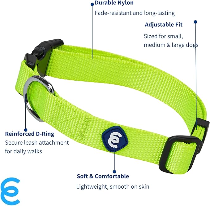 Blueberry Pet Essentials Matching Adjustable & Durable Classic Solid Color Nylon Dog Collars for Medium Dogs | Highlighter Yellow Collar Medium Girl and Boy Dogs for Pet Owner
