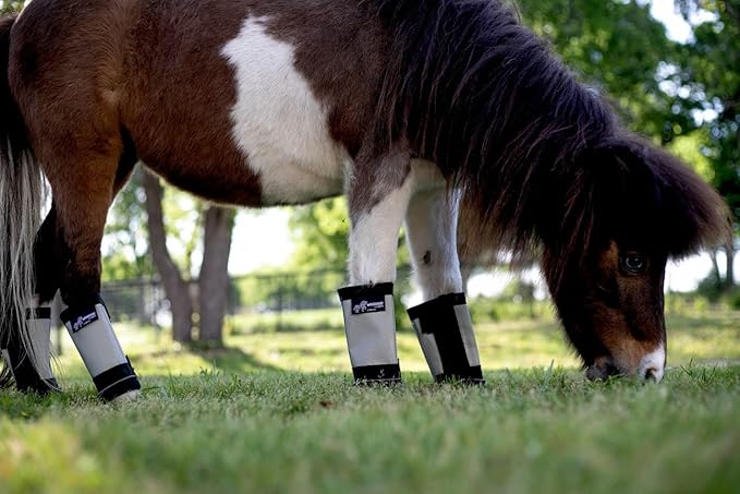 Warrior Fly Boots for Horses - Breathable Mesh Horse Boots for Fly Protection & Leg Comfort - Set of 4 (Lil Warrior, Gray)