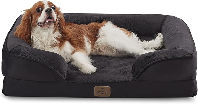 Bedfolks Orthopedic Dog Bed, Waterproof Dog Sofa Bed for Medium Dogs, Egg Foam Pet Couch Bed with Removable Washable Cover and Nonslip Bottom, Black