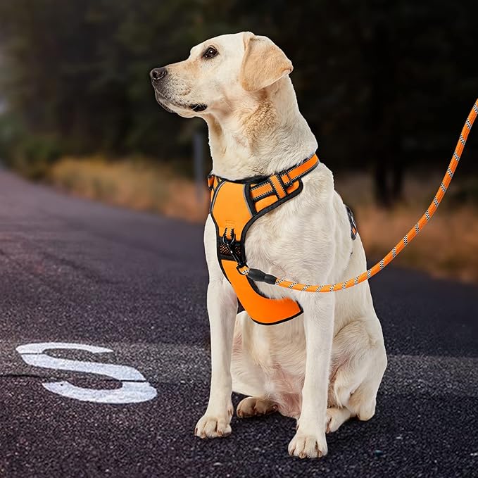 IVY&LANE No Pull Dog Harness for Large Dogs, Dog Vest Harness with Leash, Safety Belt and Storage Strap, Fully Adjustable Harness, 360° Reflective Strip, Soft Handle (Orange,X-Large)