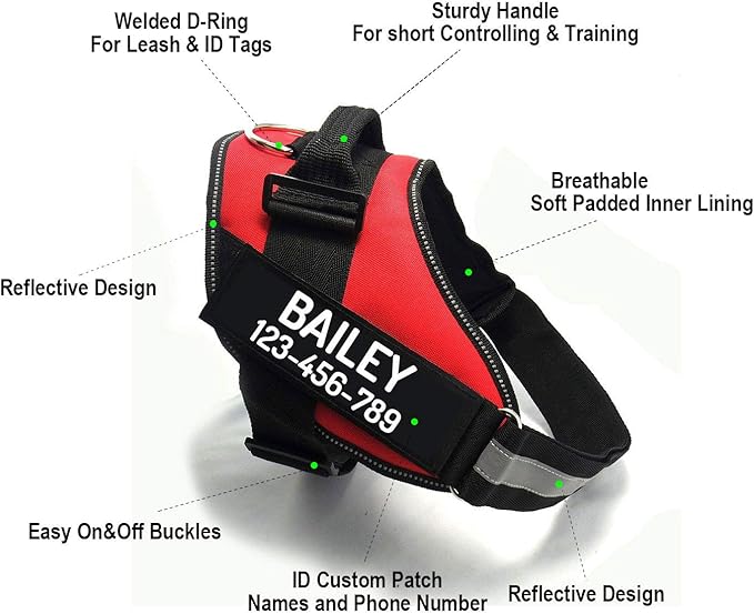PawPawify Custom No Pull Dog Harness with Name and Phone Number, Heavy Duty Personalized Pet Vest to Prevent Tugging, Pulling, or Choking, Training and Walking (Blue, L (40-60 LBS))