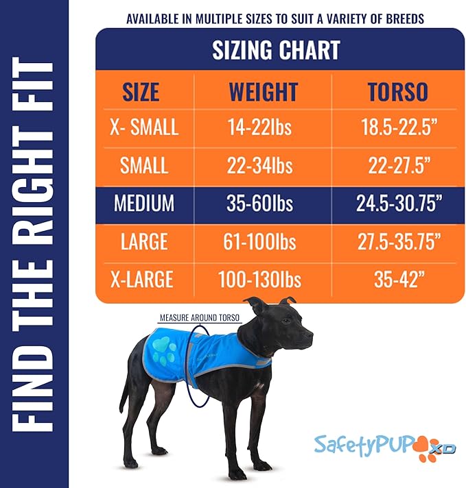 Dog Reflective Vest – Hi-Vis Fluorescent Visibility That Helps to Safeguard Your Pet On/Off Leash in Urban & Rural Areas (Blue, Medium)