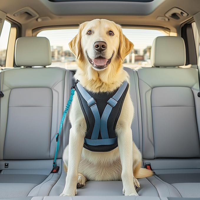 3 Pack Thickened Adjustable Dog Car Harness, Retractable Dog Car Harness Adjustable Dog Seat Belt for Car, Dog Car Leash Made of Thickened Nylon Material and Reinforced Metal Hook, Light Blue