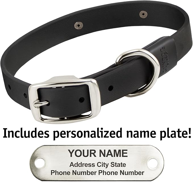 Biothane Custom Dog Collar – Waterproof, Stink-Proof Personalized Collar with Name & Phone Number – Durable, Many Sizes and Colors – Assembled in USA (Black)