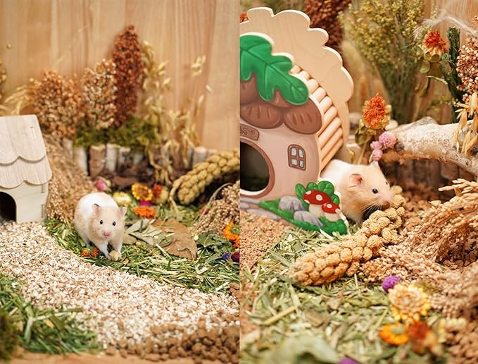Natural Hamster Bedding - Flowers, Herbs, Sprays, Treat Cereal Grain for Cage Habitat Enclosure Decor - Hamster Chews for Dwarf Syrian Gerbils, Mice, Rat Forage - Pet Accessories