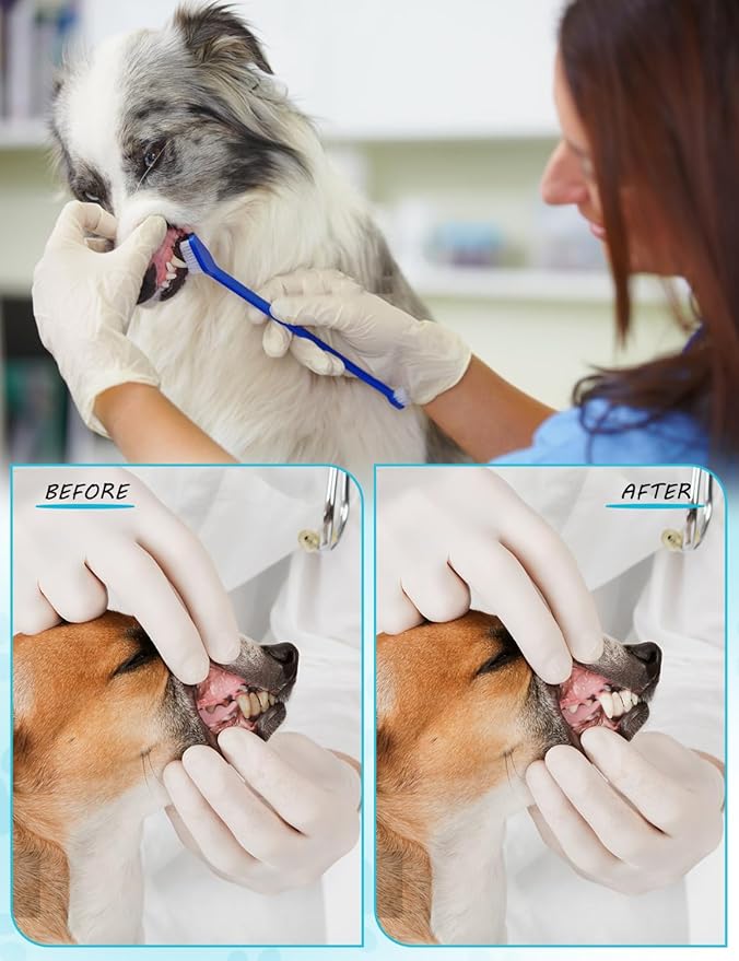 10 Pcs Dual-Headed Pet Toothbrush for Dogs & Cats