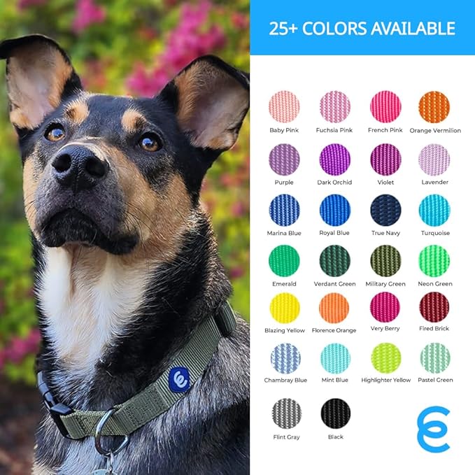 Blueberry Pet Essentials X-Small Dog Collar in Neon Green | Adjustable & Eco-Friendly Durable Nylon Strap | Classic Collar for X-Small Dogs, Boy & Girl Pets