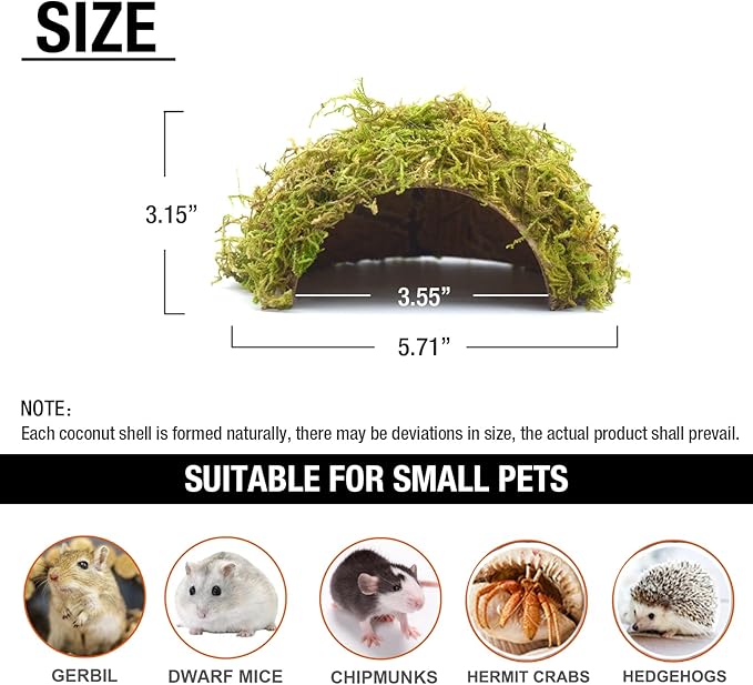 Hamster Hideaway/Hideout,Mossy Cave Hide,Hamster House/Hides,Hamster Cage Accessories for Gguinea Pig/Hedgehogs/Gliders/Rats/Mice and Other Small Animals(Set)