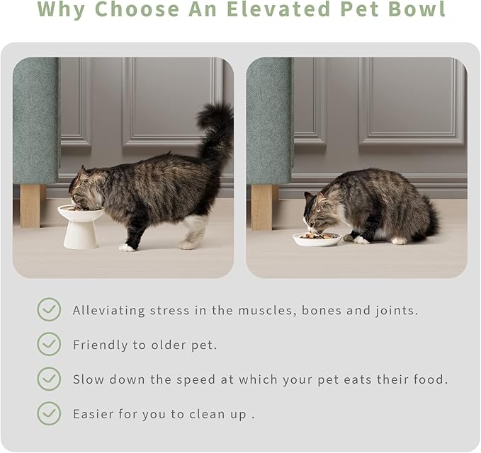 Extra Wide Elevated Ceramic Cat Bowl, 6.2" Shallow Dish for Whisker Fatigue Relief, 5" Height for Easy Feeding, Durable Raised Cat Food Bowls, Pack of 2, White