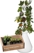 Farmstand Starter Kit + 36 Seedling Credits | Large Hydroponic Growing System Kit | Self-Watering Outdoor Vertical Garden Planter Tower | 6ft 1in | Made in USA