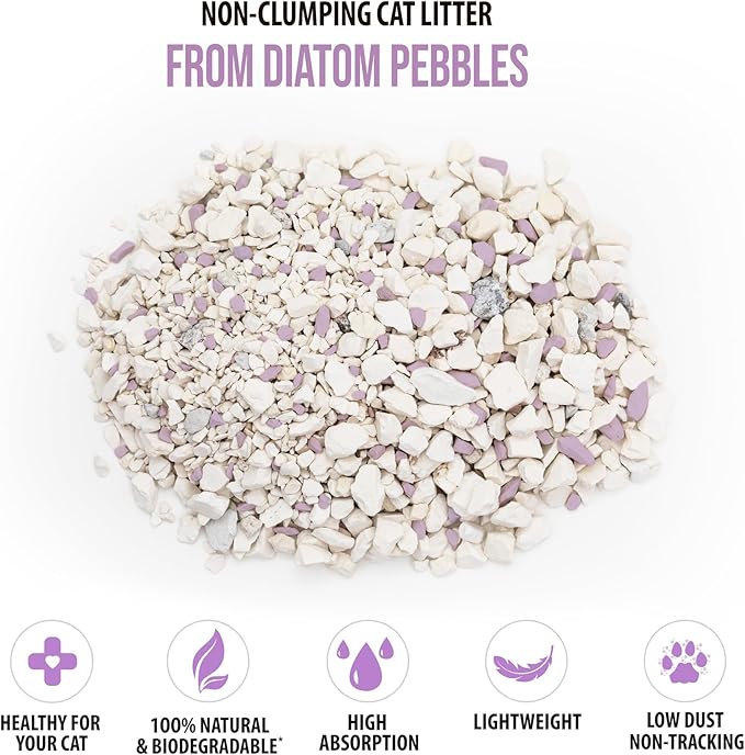Skoon All Natural Cat Litter (1 Bag) - Lavender - Lightweight, Low Tracking, Non-Clumping Diatom Pebbles Absorb, Lock, and Seal Waste for Best Odor Control