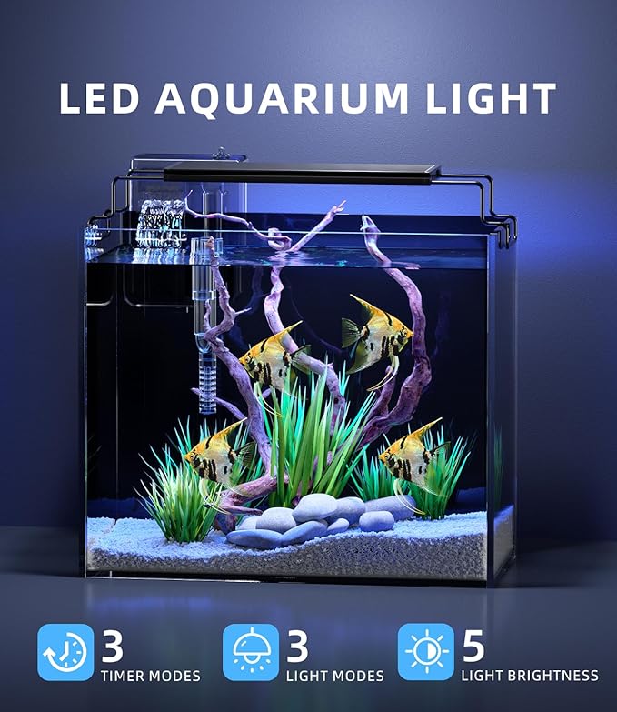 3 Gallon Fish Tank Aquarium Kit with Filter, LED Light with Timer, Siphon Vacuum Cleaner, Lid, Self-Cleaning Glass Rimless Betta Tank