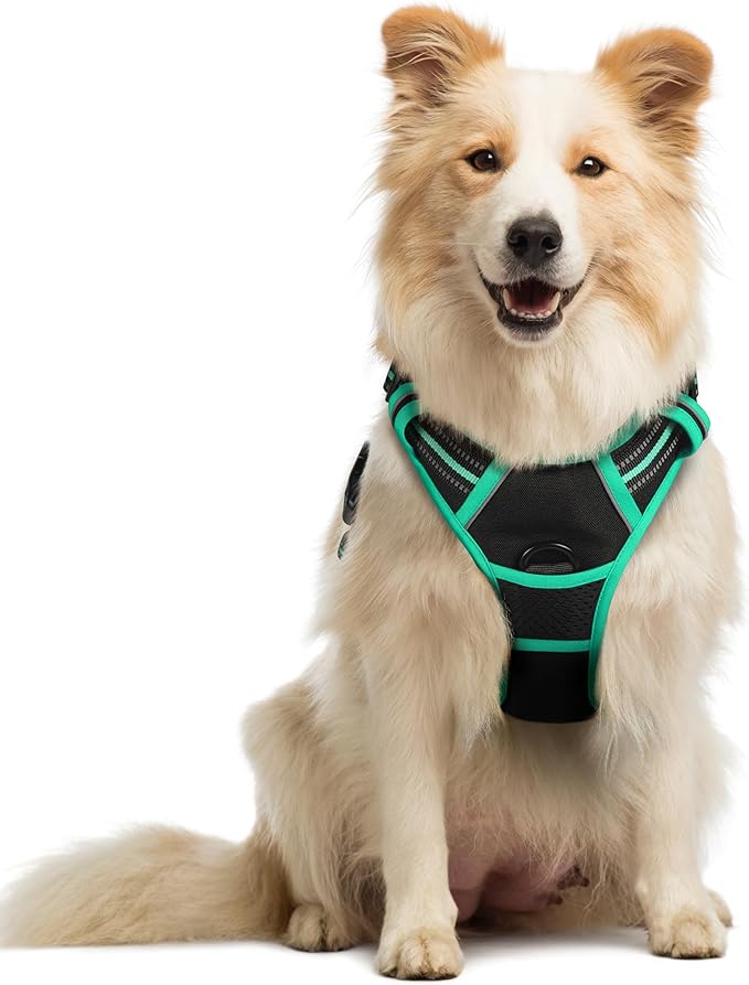 rabbitgoo Dog Harness No Pull with 2 Leash Clips, Adjustable Soft Padded, Reflective Oxford No Choke Pet Vest with Easy Control Handle for Medium Sized Dogs, Black & Turquoise, M