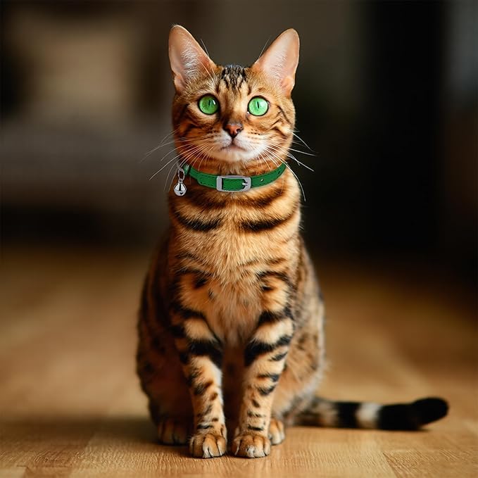 OOPSDOGGY Rolled Leather Cat Collar with Bell, Reflective Kitten Collars with Buckle Include Safety Elastic Strap - Adjustable Small Pet Collars for Boy Girl Cats (Green)