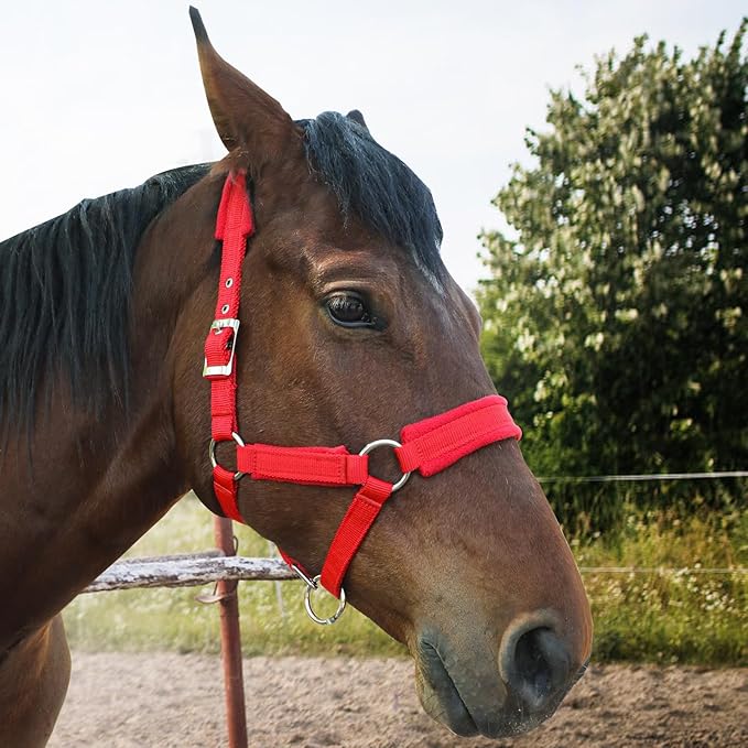 Horse Halter with Wool Lining, Adjustable Halter for Horses Satin Hardware to Prevent Friction, Breakaway Halters for Horses,Perfect for Traction and Performance