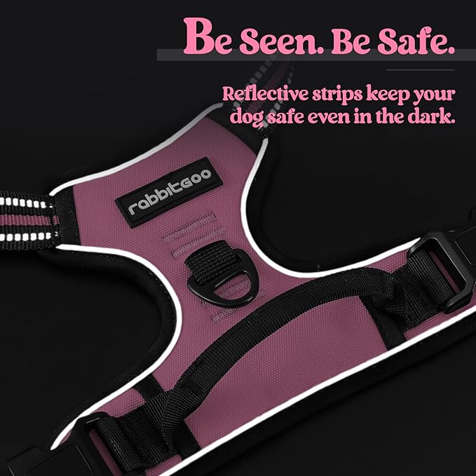 rabbitgoo Dog Harness No Pull with 2 Leash Clips, Adjustable Soft Padded, Reflective Oxford No Choke Pet Vest with Easy Control Handle for Large Dogs, Pink, XL