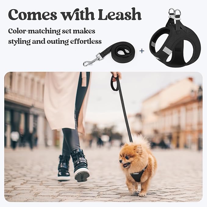 rabbitgoo Dog Harness Small Sized and Leash Set, Step in Soft Light Puppy Vest, Breathable Mesh Pet Harness, Reflective for Safe Easy Walking, Black S